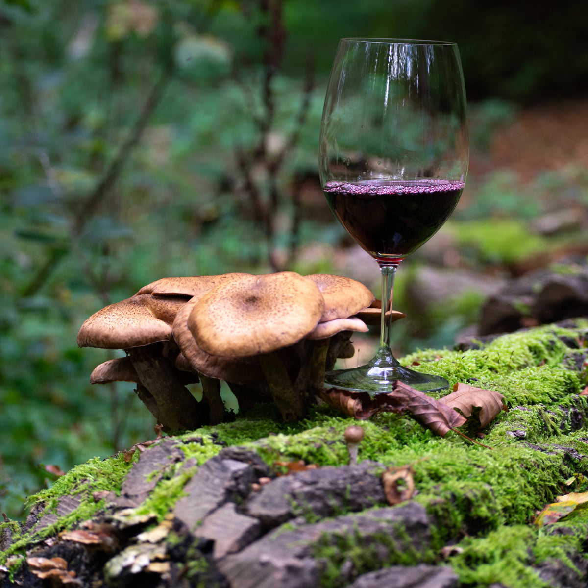 Herfstwijnen