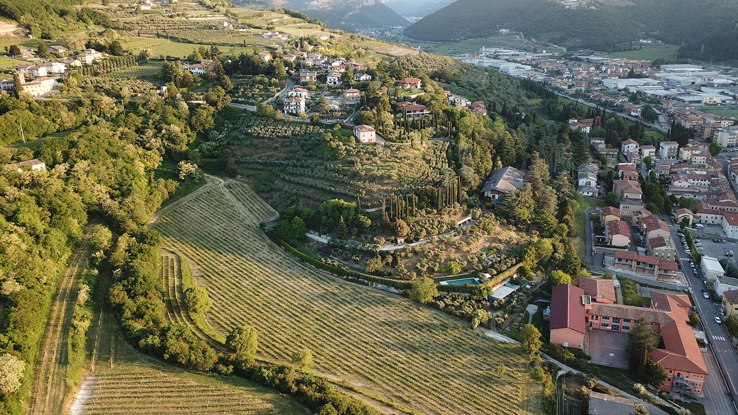 De wijngaarden van Brigaldara gelegen in het noorden van Italië. Hier groeien de druiven voor de Valpolicella, Amarone en Ripasso. Case Vecie, Cavolo en Classico zijn de 3 verschillende wijngaarden gelegen in Veneto