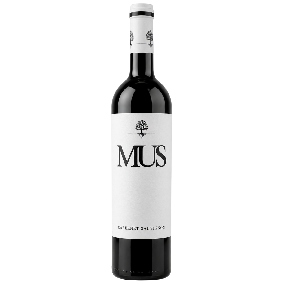 Chateau de Mus Cabernet Sauvignon