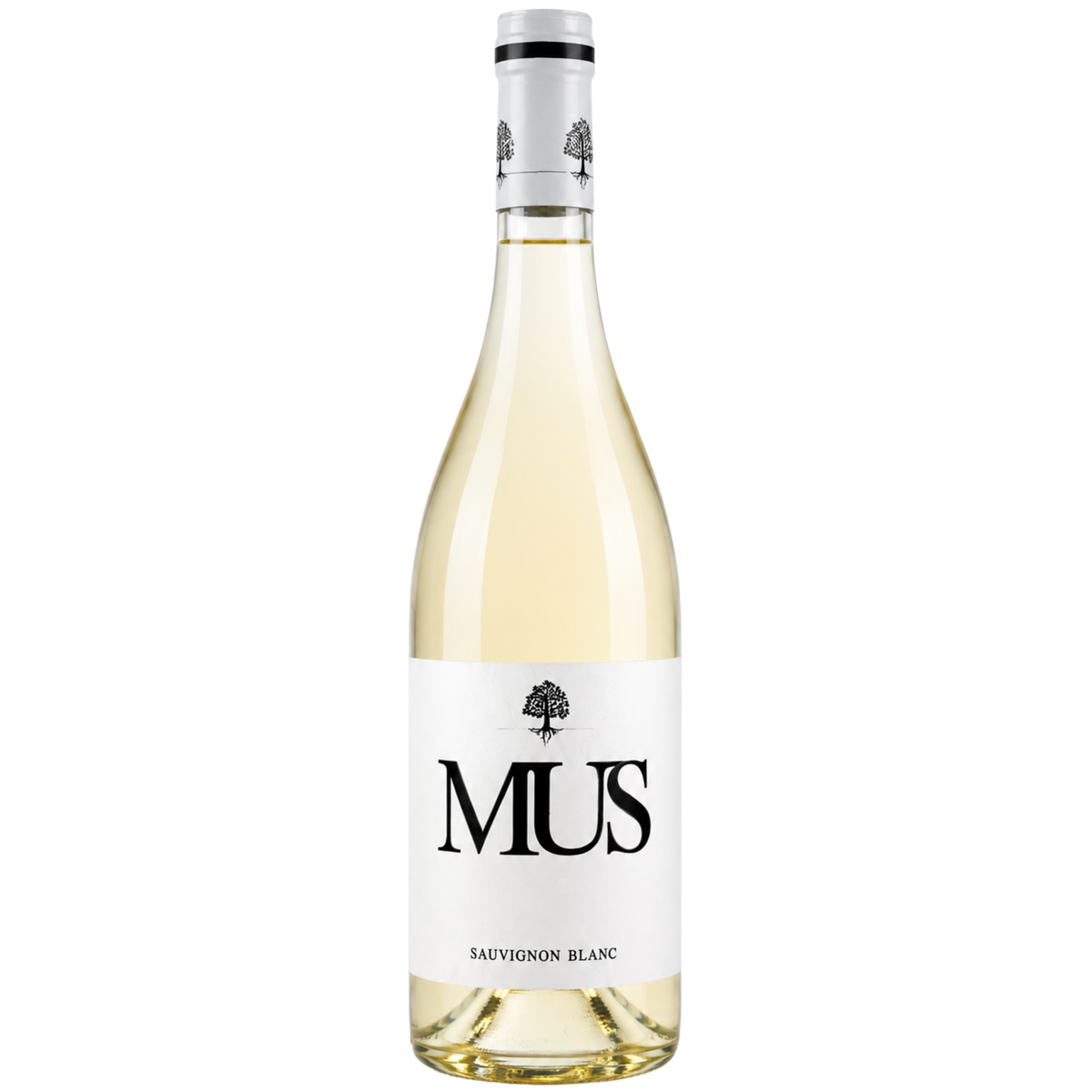 Chateau de Mus Sauvignon Blanc