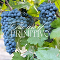 Wijnbox: The Art of Primitivo